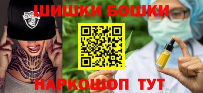 крисы Новокубанск