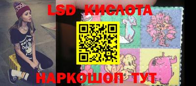крисы Новокубанск