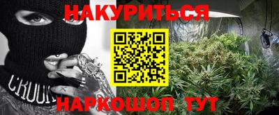 крисы Новокубанск