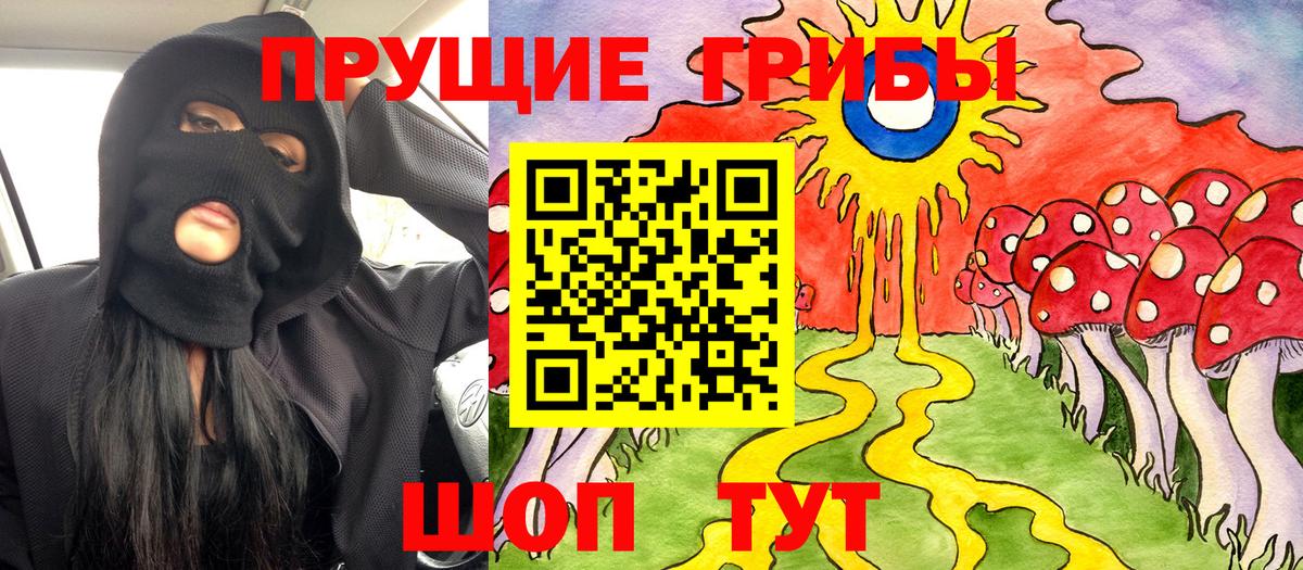 Галлюциногенные грибы Psilocybe Советская Гавань