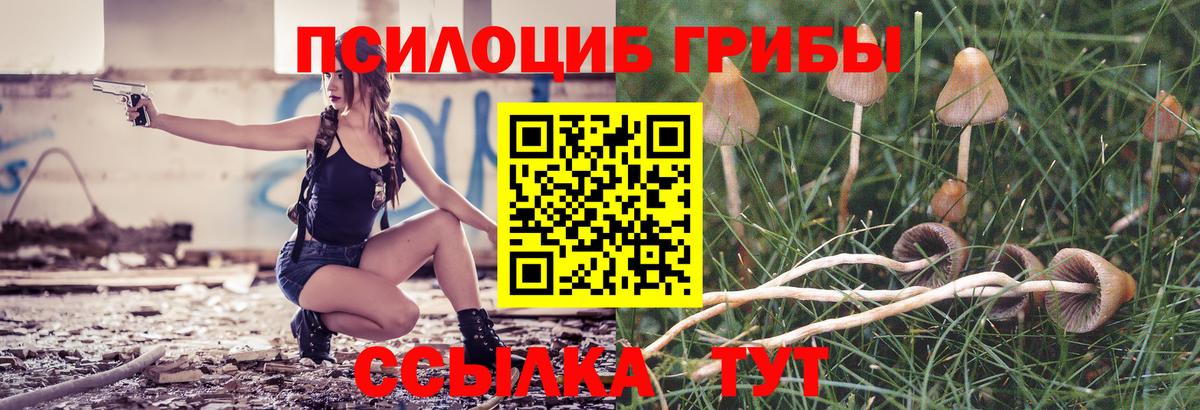 Галлюциногенные грибы Magic Shrooms  Вход с VPN  Советская Гавань 